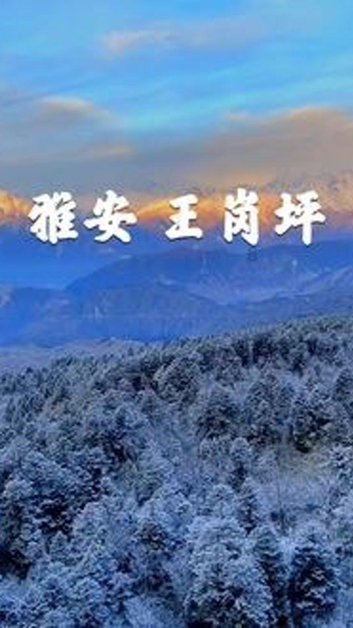 独眼方块的冒险