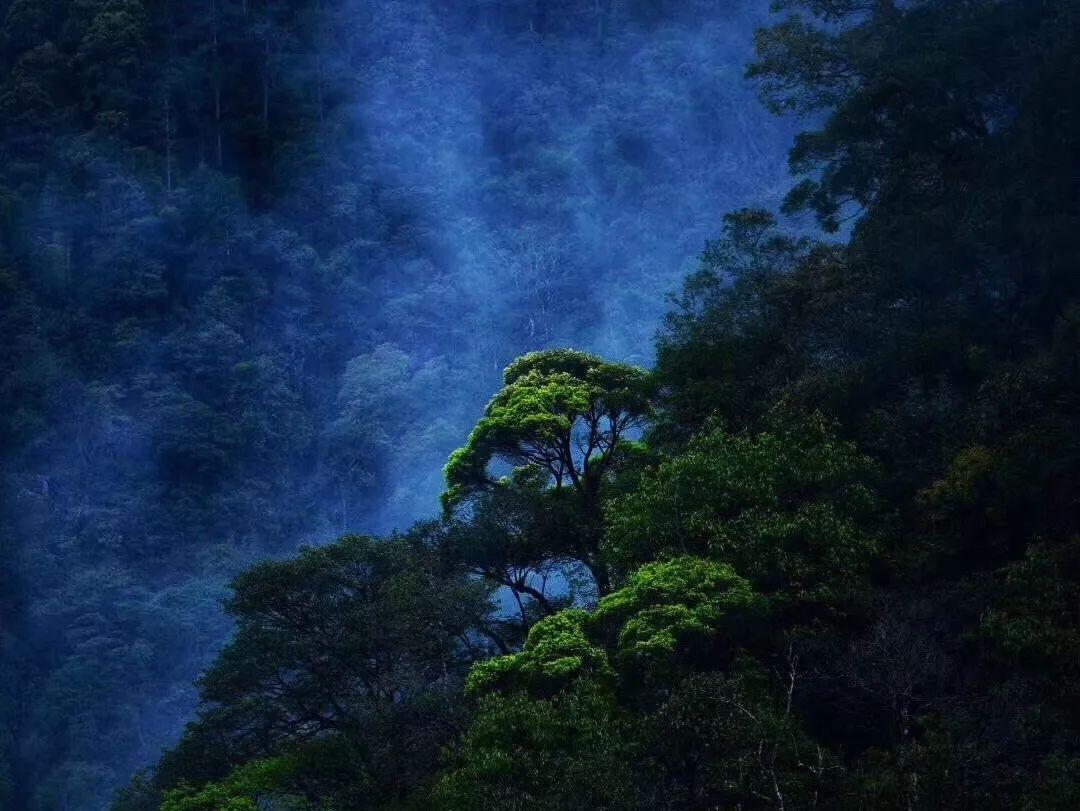 长城证券：看好工业互联网产业链相关环节投资机会