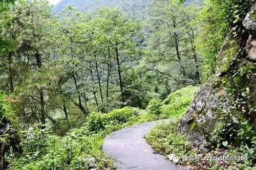 跳出生产车间